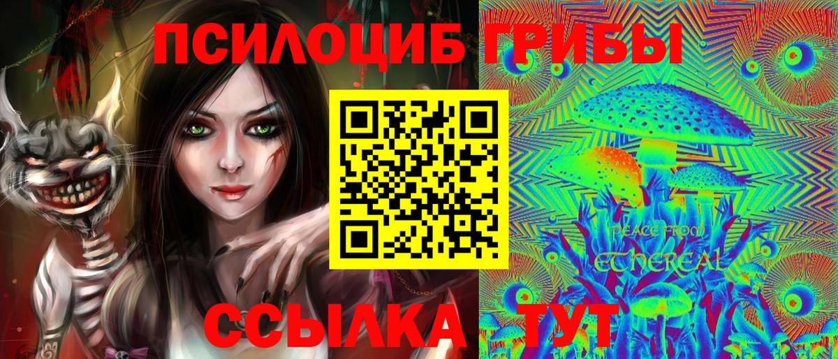 Псилоцибиновые грибы Шали