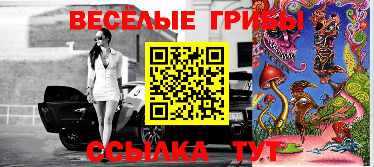 Псилоцибиновые грибы прущие грибы Шали