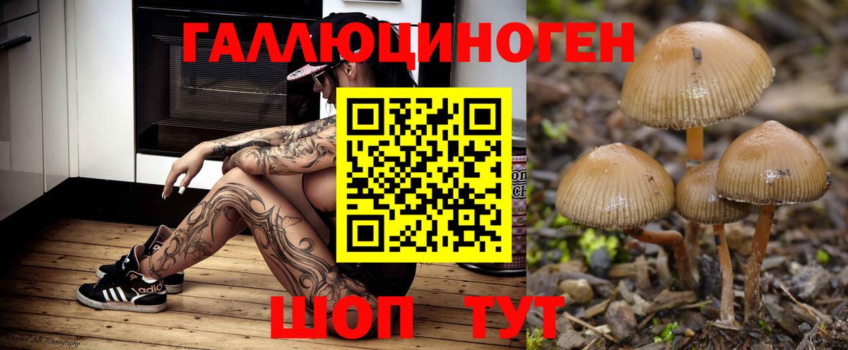 Шали  Галлюциногенные грибы Psilocybine cubensis  Вход с VPN  Галлюциногенные грибы MAGIC MUSHROOMS 
